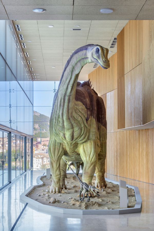 Cuenca | Museo Paleontológico