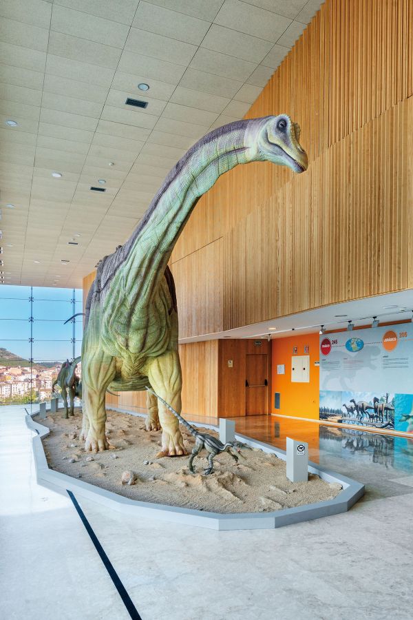 Museo Paleontológico de Cuenca